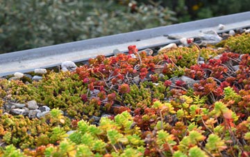 the cost of Kersey Tye green roof installation