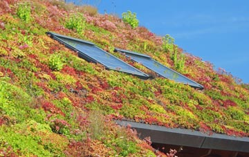 Kersey Tye living roof systems