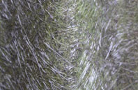 Kersey Tye fibreglass roof work